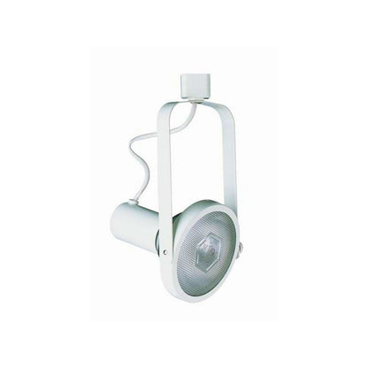 LINE VOLTAGE FIXTURE,PAR 30, 2 WIRE