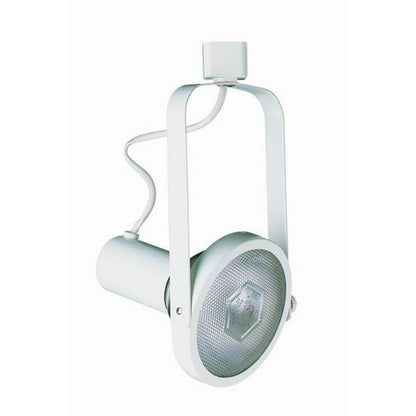 LINE VOLTAGE FIXTURE,PAR 30, 2 WIRE