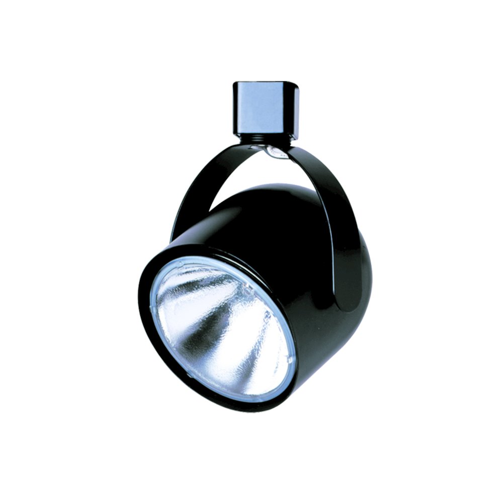 Par 3O Short Neck, 120V, 75W Max.
