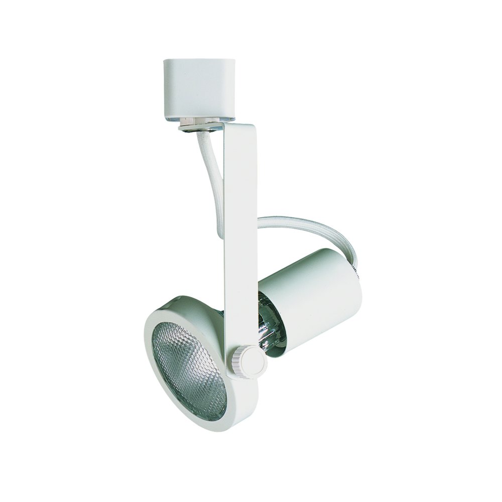 Line Voltage Fixture, Par 20, HT240WH