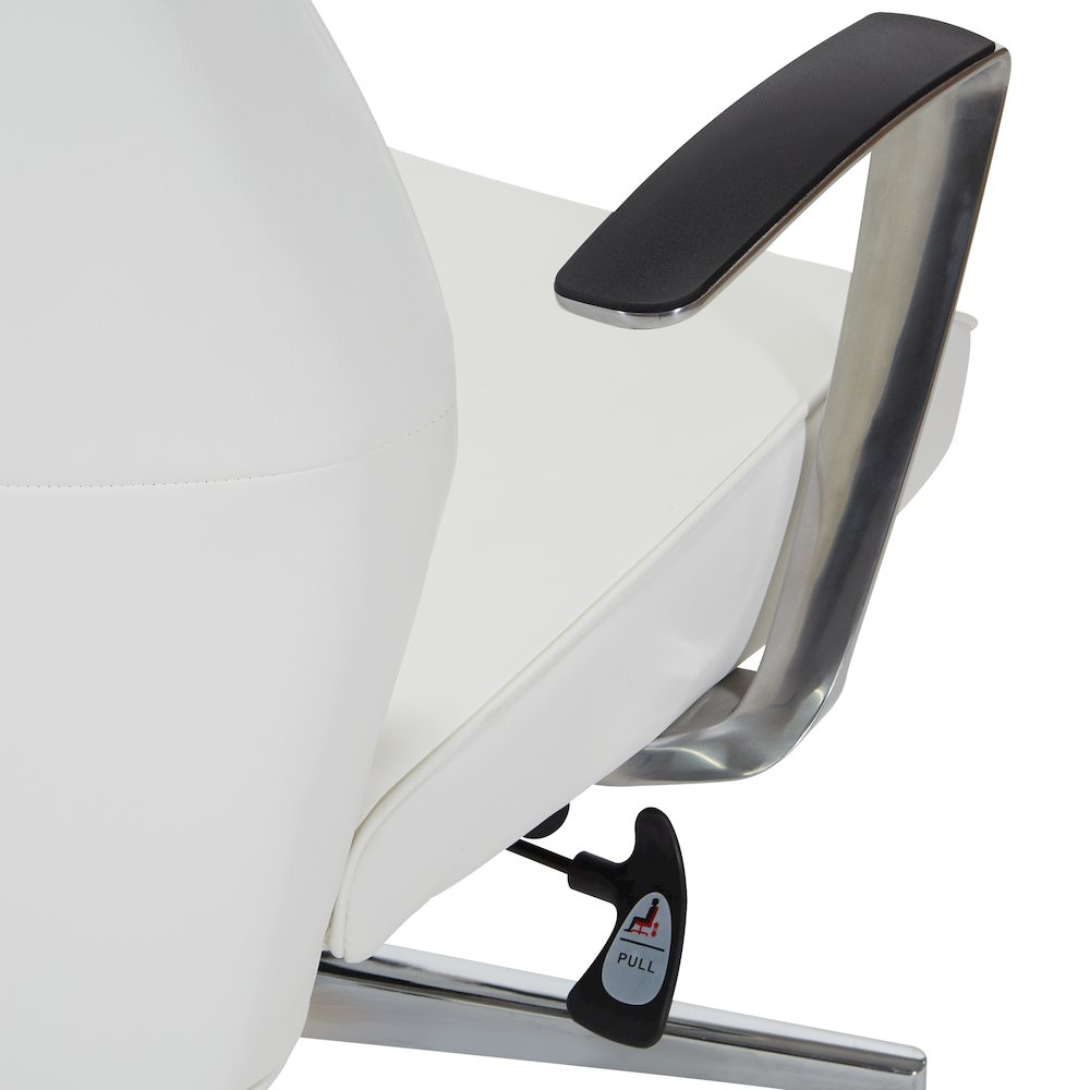 High-Back Ion Technology in Dillon snow Chair with Fixed Padded Aluminum Arms