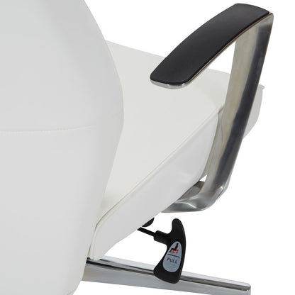 High-Back Ion Technology in Dillon snow Chair with Fixed Padded Aluminum Arms