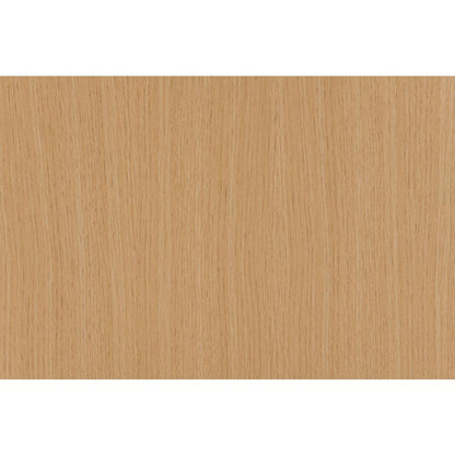 Alpine Lateral File