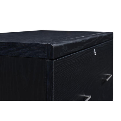 Alpine Lateral File