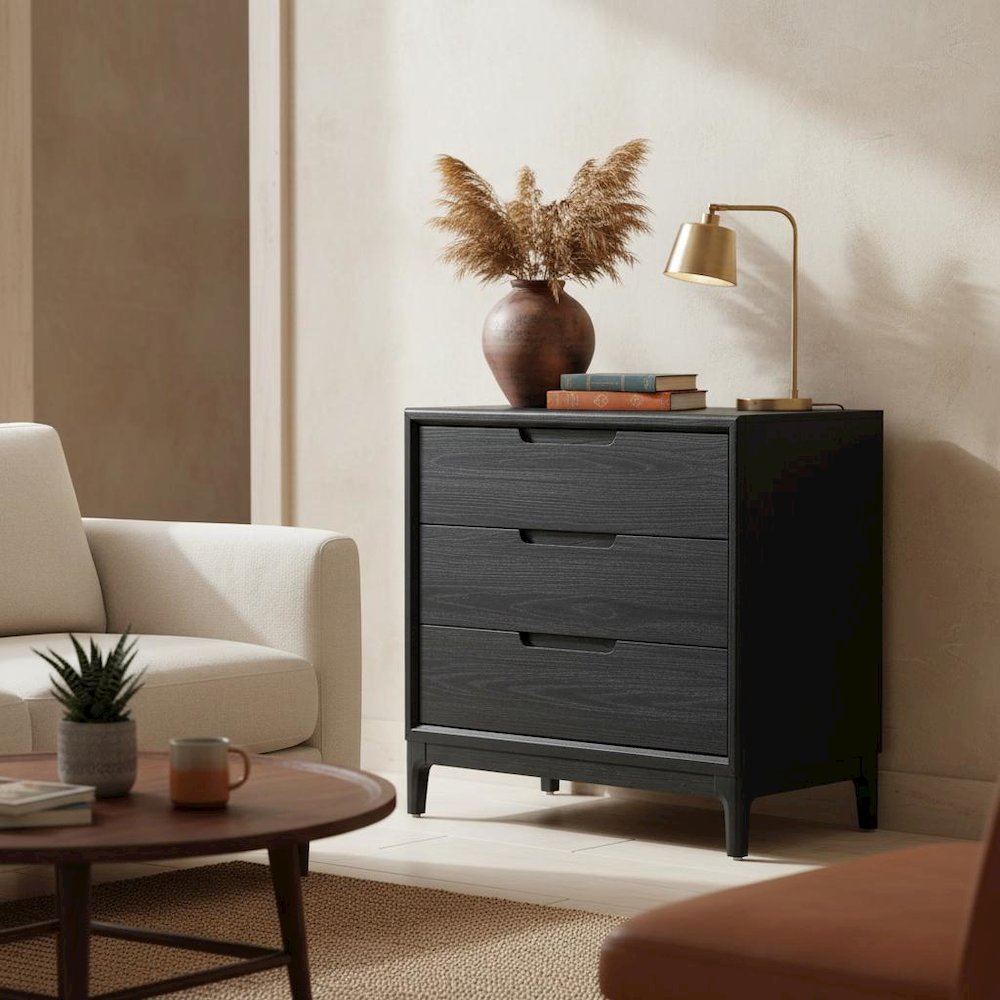 Vintage Black Accent Chest with Modern Design and Single Drawer, No Upholstery