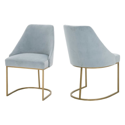 Traditions Transitional Parissa Dining Chair, Set of 2