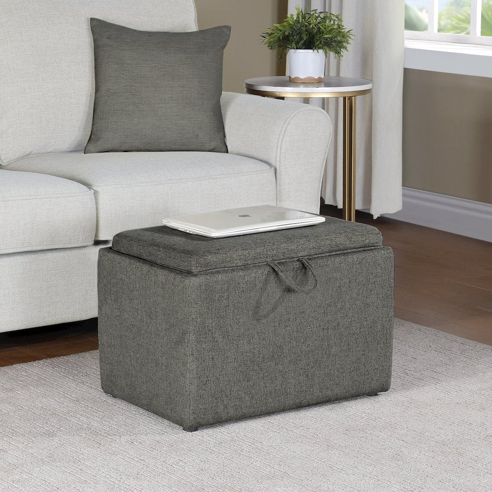 Designs4Comfort Accent Storage Ottoman with Reversible Tray