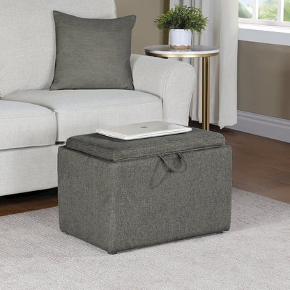 Designs4Comfort Accent Storage Ottoman with Reversible Tray