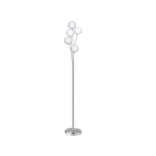 5LT Incandescent Floor Lamp, SC,White Glass