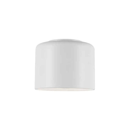 1LT Incand Flush Mount,  MW Shade