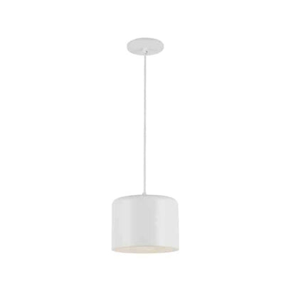 1LT Incand Pendant,  MW Shade