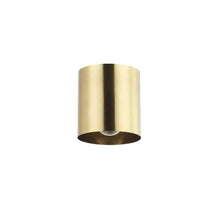 1LT Flush Mount,  AGB