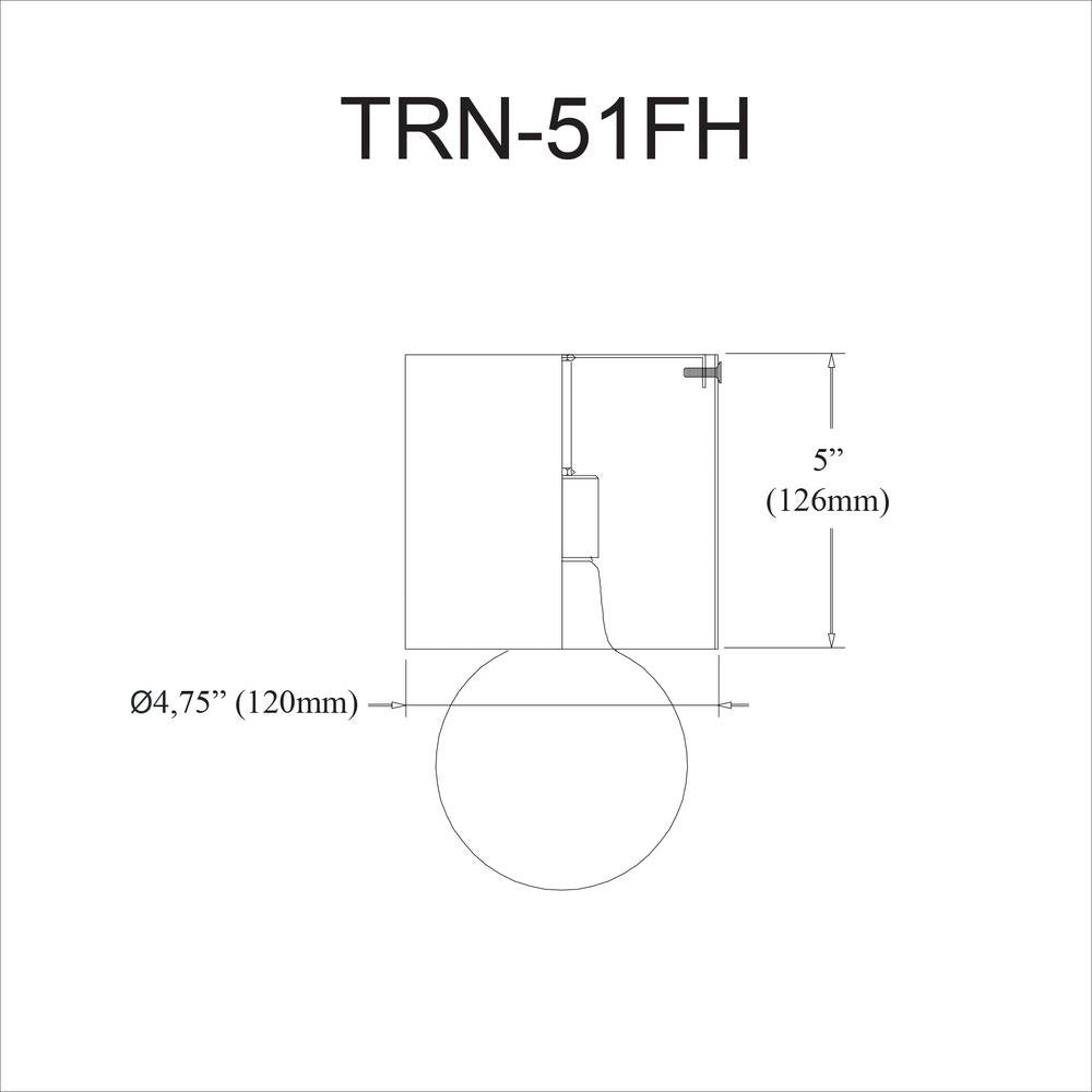 1LT Flush Mount,  AGB