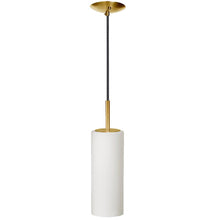 1LT Incandescent Pendant, AGB, WH Glass