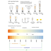 1LT Floor Lamp, Satin Chrome Finish