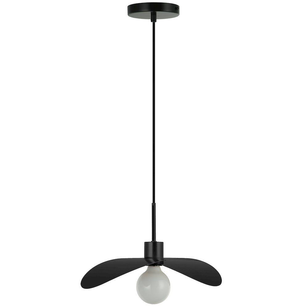 1 Light Matte Black Pendant