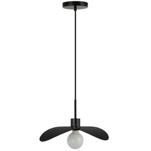 1 Light Matte Black Pendant