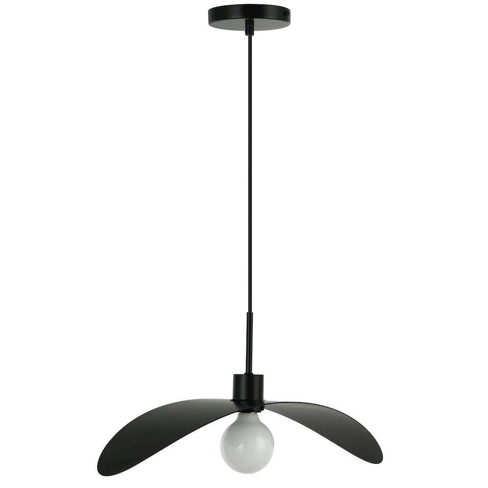 1 Light Matte Black Pendant