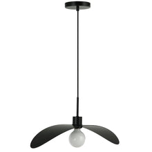 1 Light Matte Black Pendant