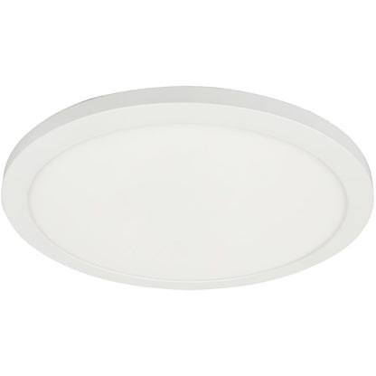 30W Matte White Flush Mount