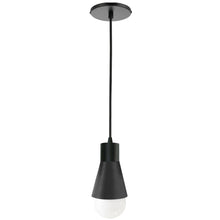 1 Light Incandescent Pendant Matte Black
