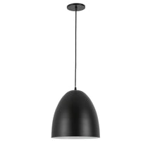 1 Light Pendant in Matte Black w/ in Matte Black Metal Shade