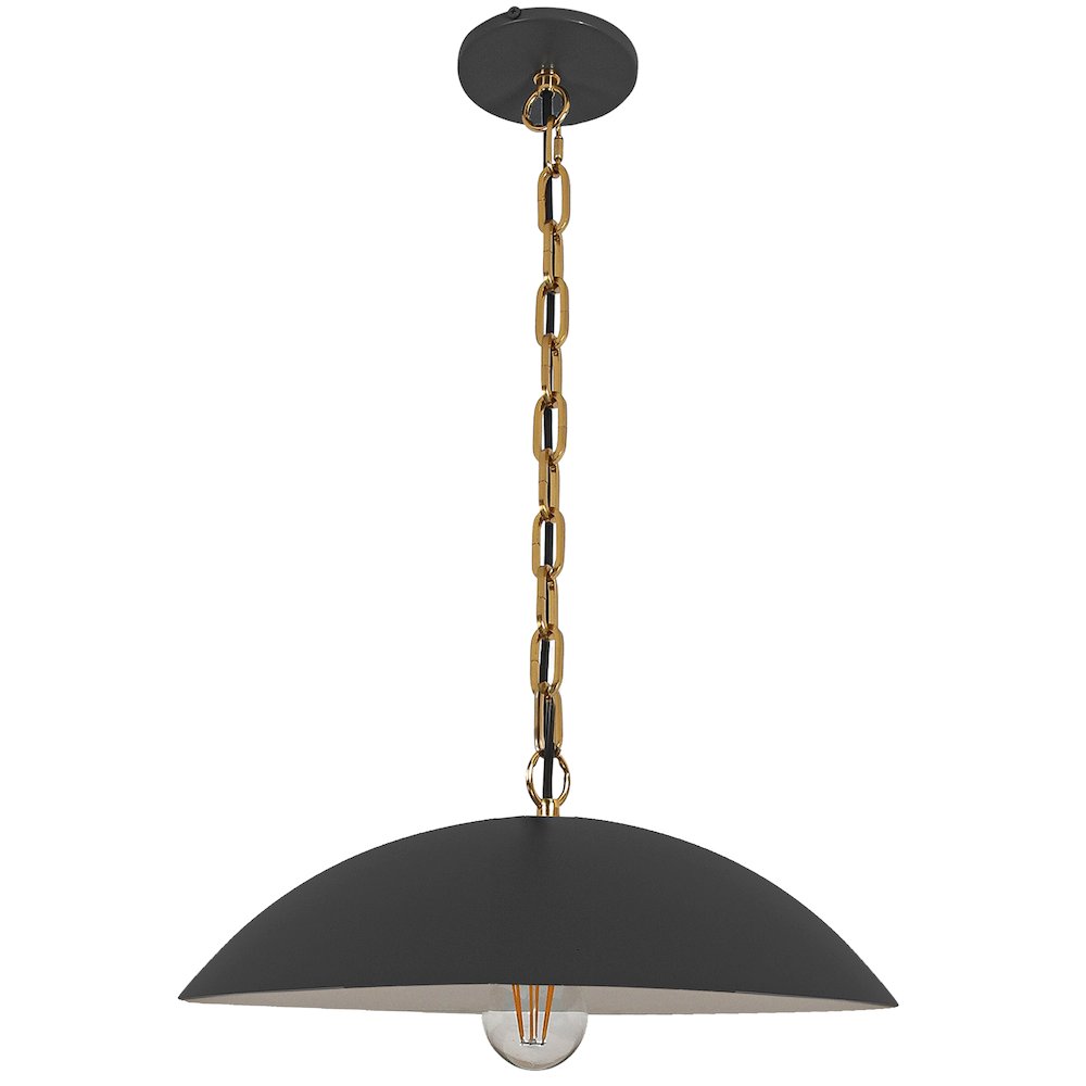 1 Light Pendant in Matte Black w/ Aged Brass Chain
