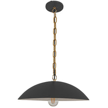 1 Light Pendant in Matte Black w/ Aged Brass Chain