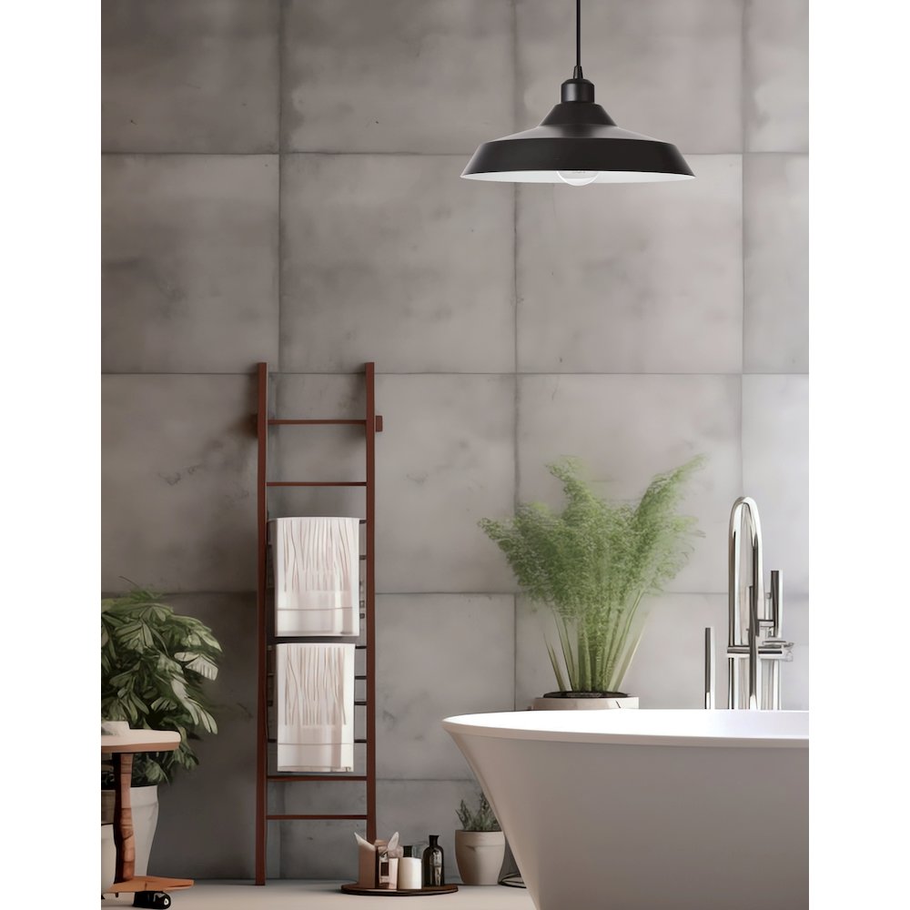 1 Light Matte Black Pendant