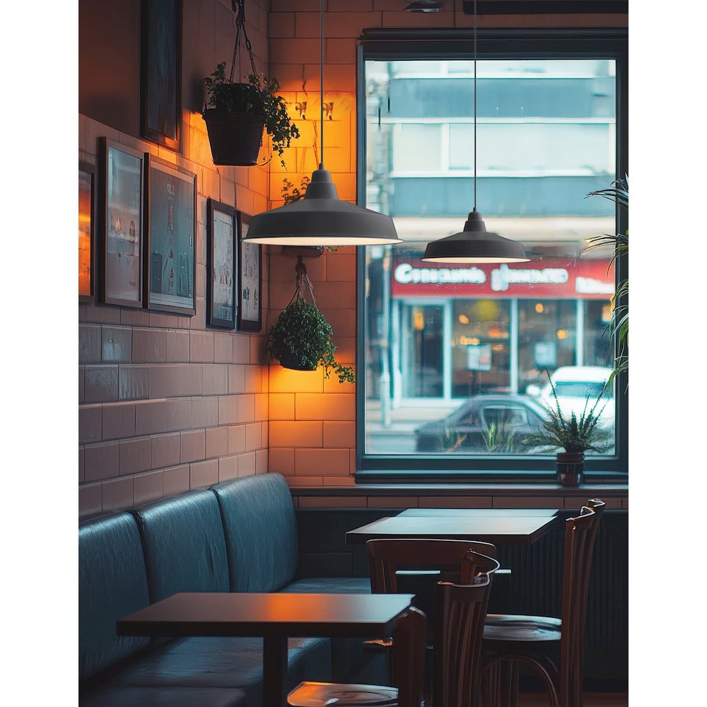1 Light Matte Black Pendant