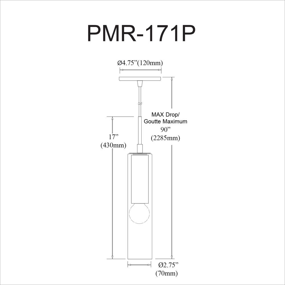 1LT Incandescent Pendant, PC, CLR Glass