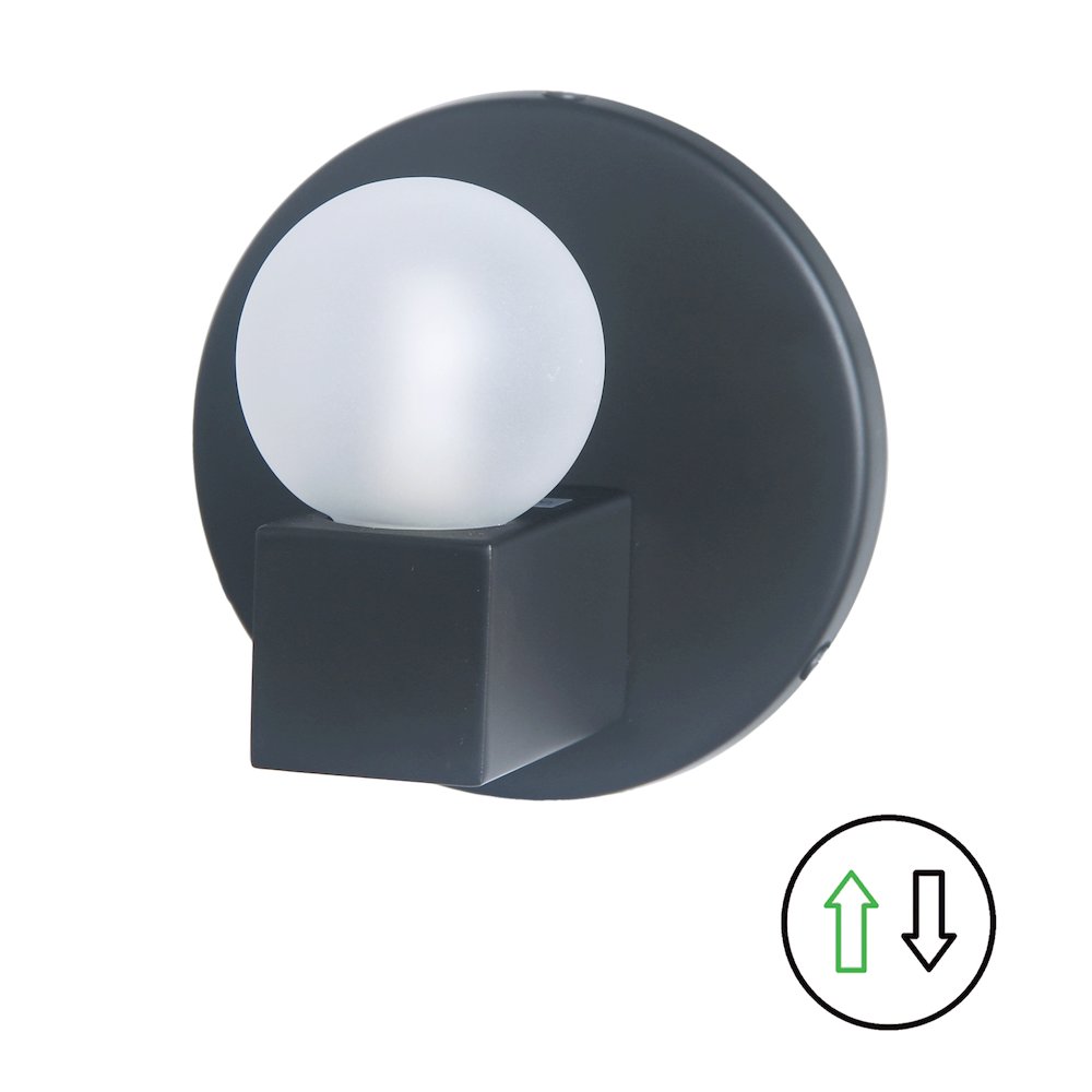1 Light Matte Black Vanity w/ Frosted Glass