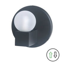 1 Light Matte Black Vanity w/ Frosted Glass