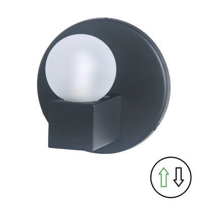 1 Light Matte Black Vanity w/ Frosted Glass