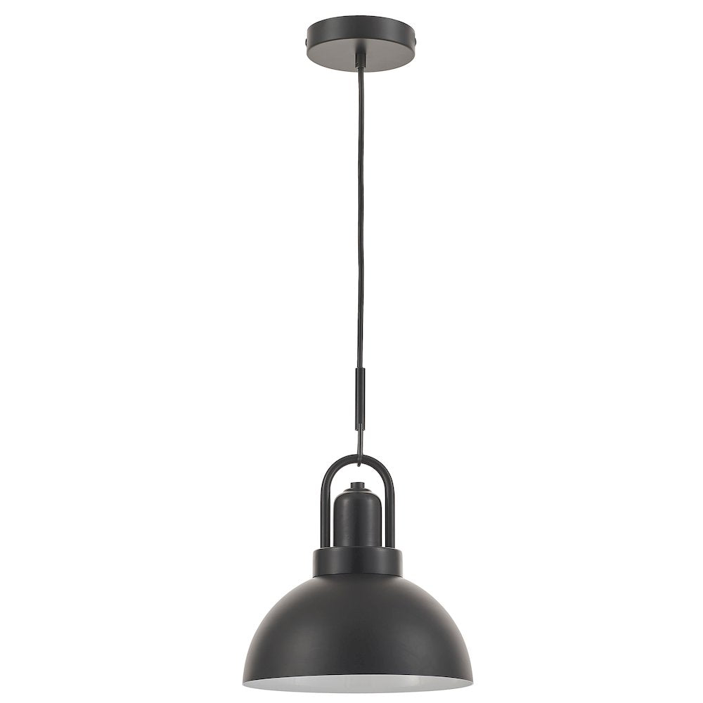 1 Light Pendant in Matte Black