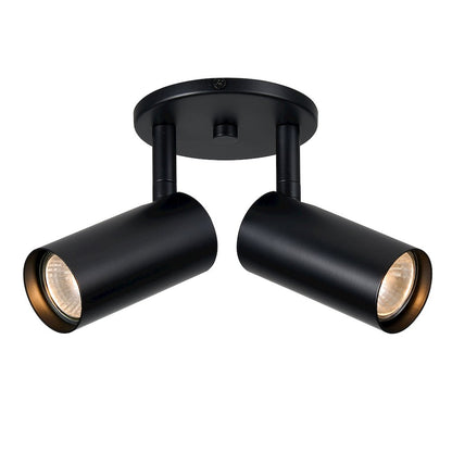 2 Light Spot Light in Matte Black