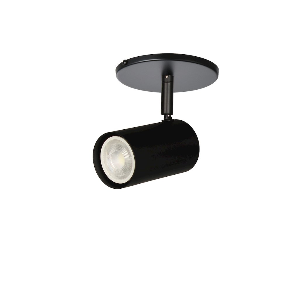 1 Light Spot Light in Matte Black