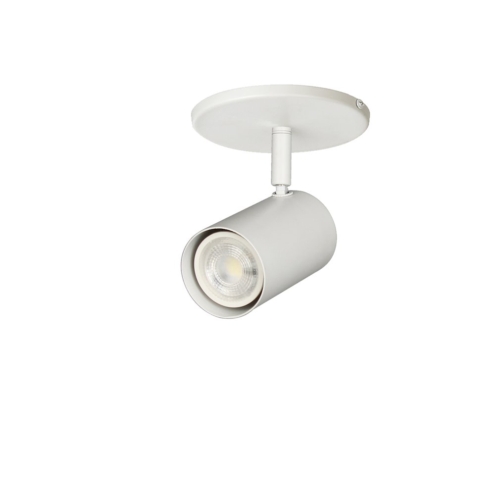 1 Light Spot Light in Matte White