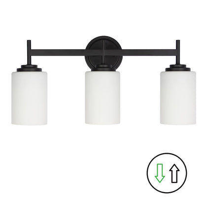 3 Light Vanity in Matte Black
