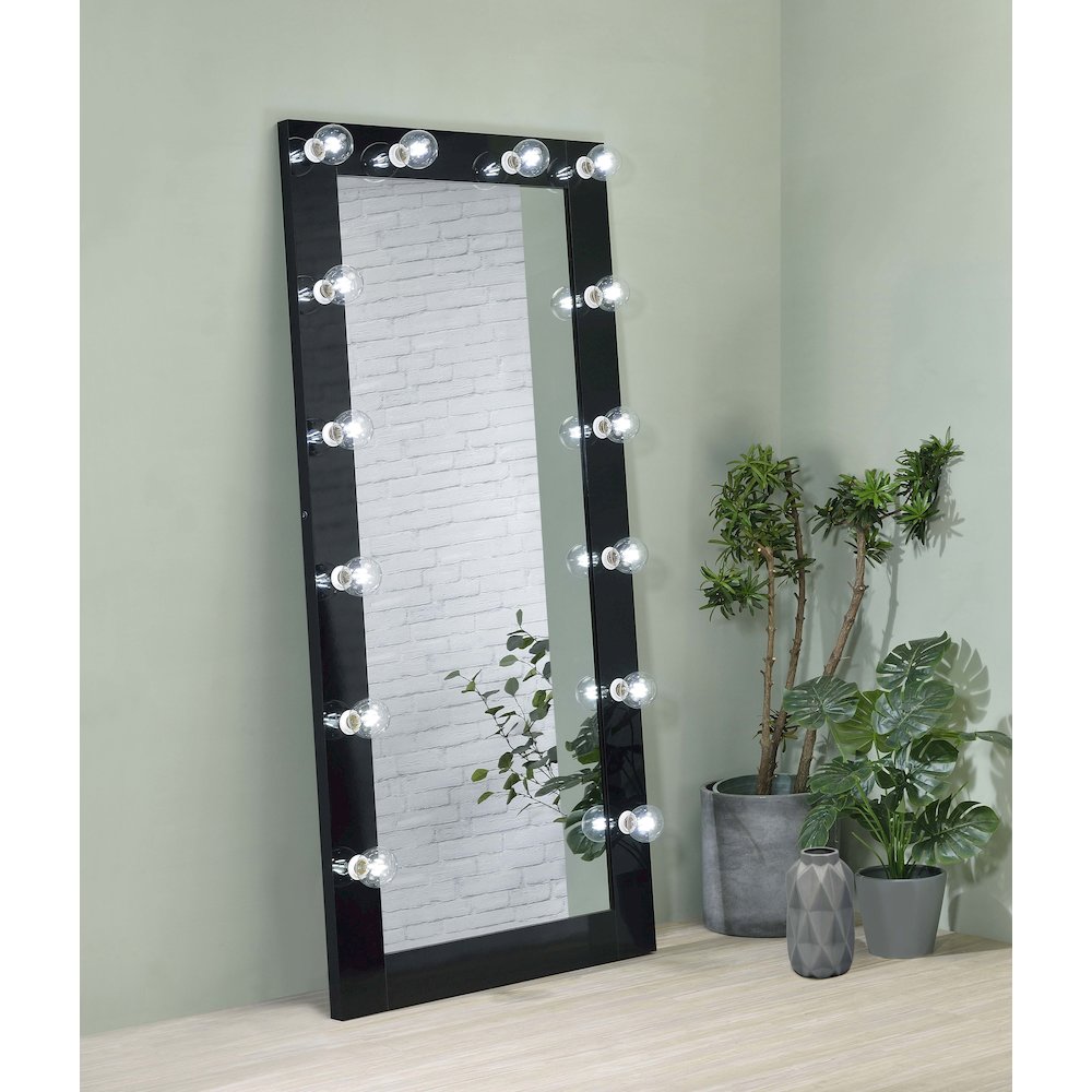 Zayan 32 x 71 Inch Floor Mirror LED Lighting Black Gloss