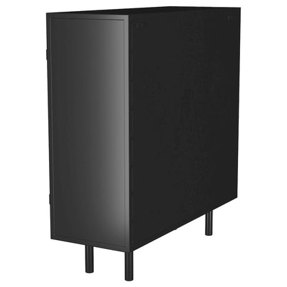 Dalia 2-door Accent Storage Cabinet with Shelving Black