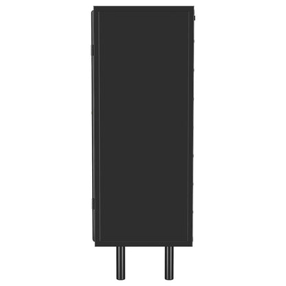 Dalia 2-door Accent Storage Cabinet with Shelving Black