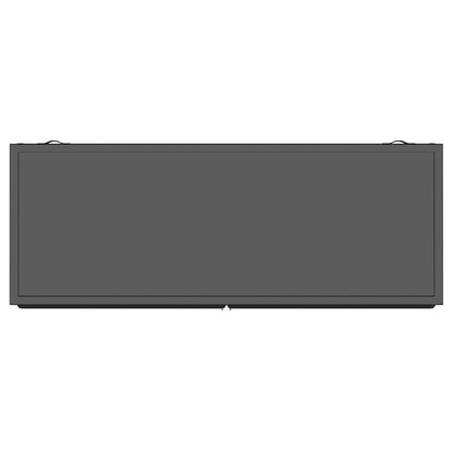 Dalia 2-door Accent Storage Cabinet with Shelving Black