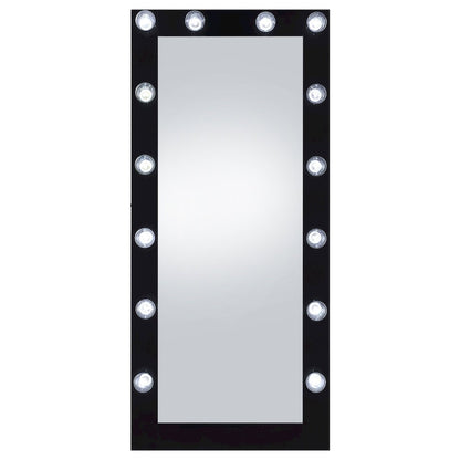 Zayan 32 x 71 Inch Floor Mirror LED Lighting Black Gloss
