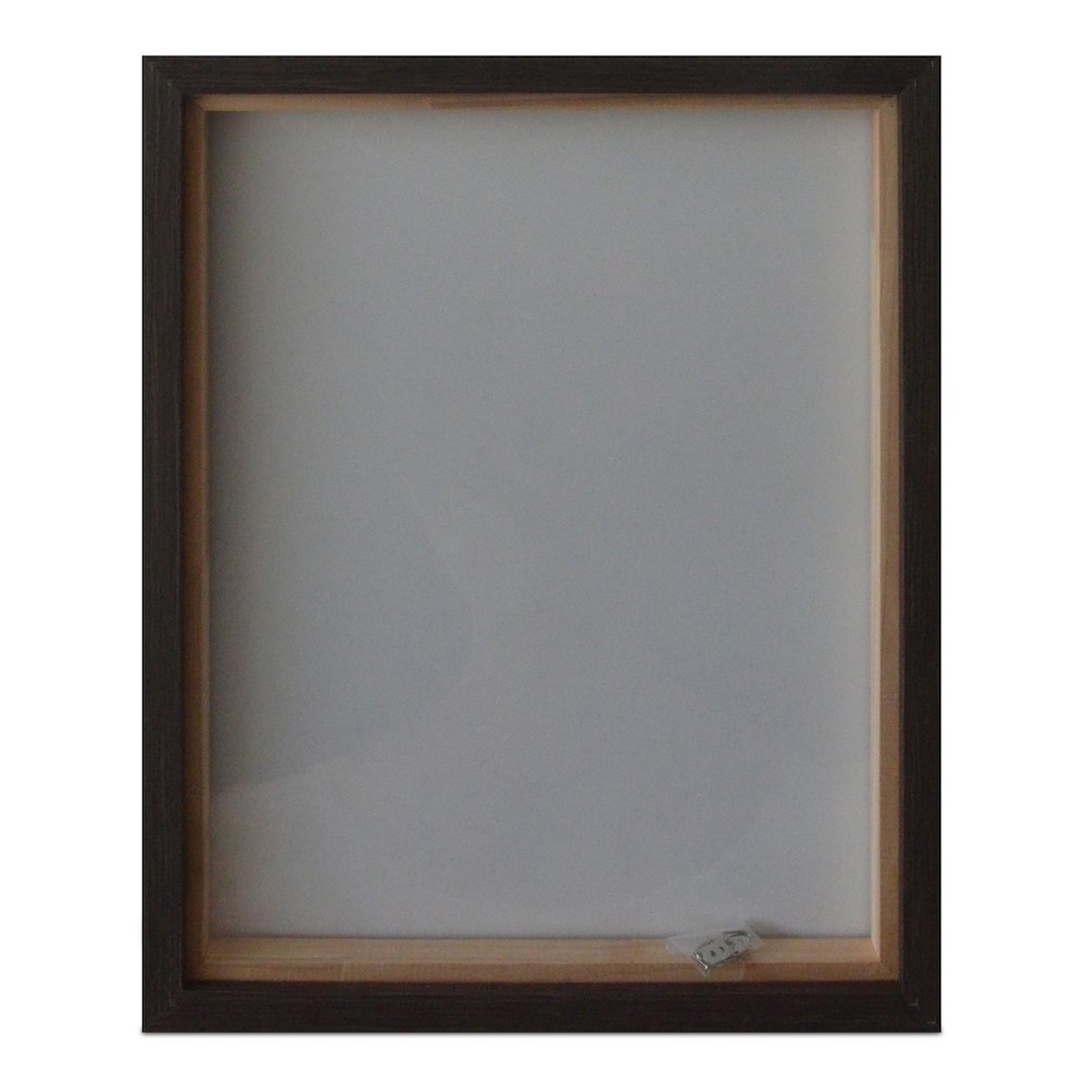 Intrepid Framed Painting