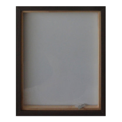 Intrepid Framed Painting