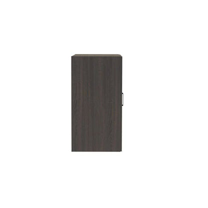 Mirella™ Wood Door Storage Cabinet Southern Tobacco