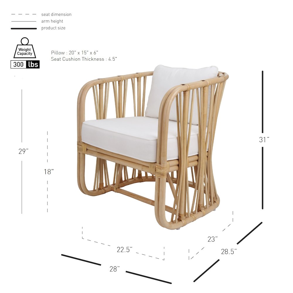 Shanaya Rattan Accent Arm Chair