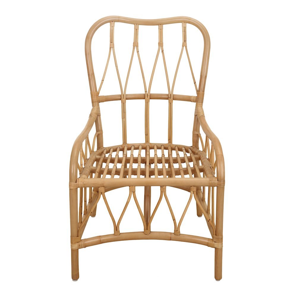 Ayanna Rattan Dining Side Chair - Natural Wheat