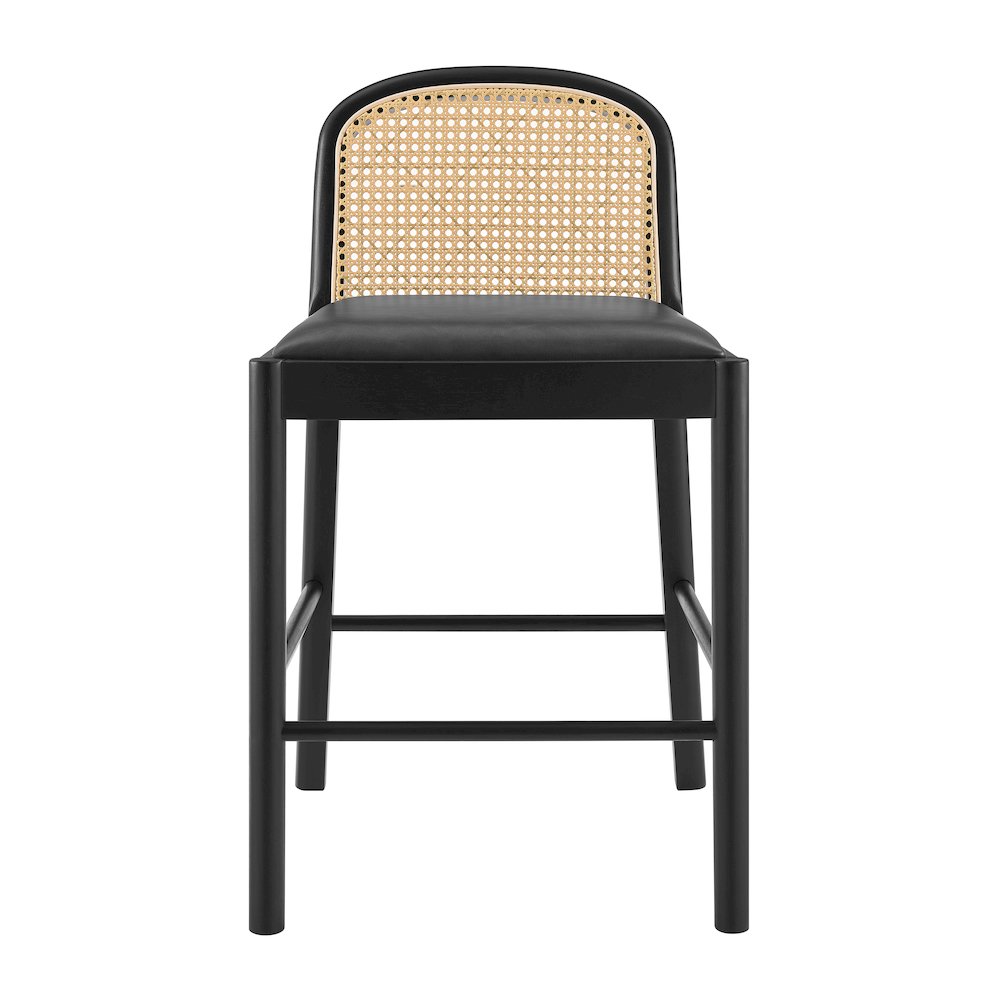 Donna Faux Leather Rattan Counter Stool, (Set of 2)